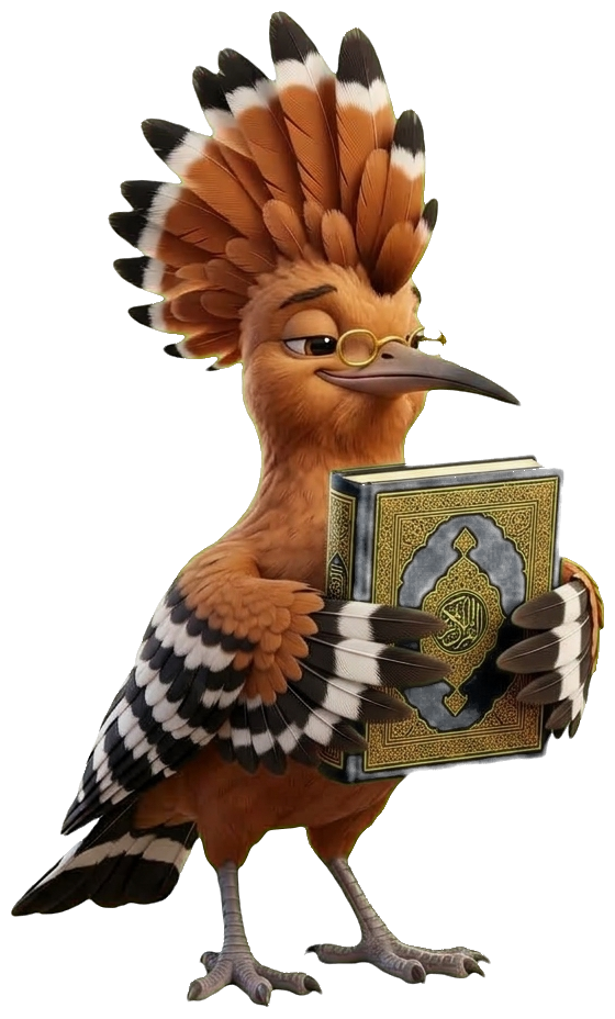 هدهد التلاوة والتدبر